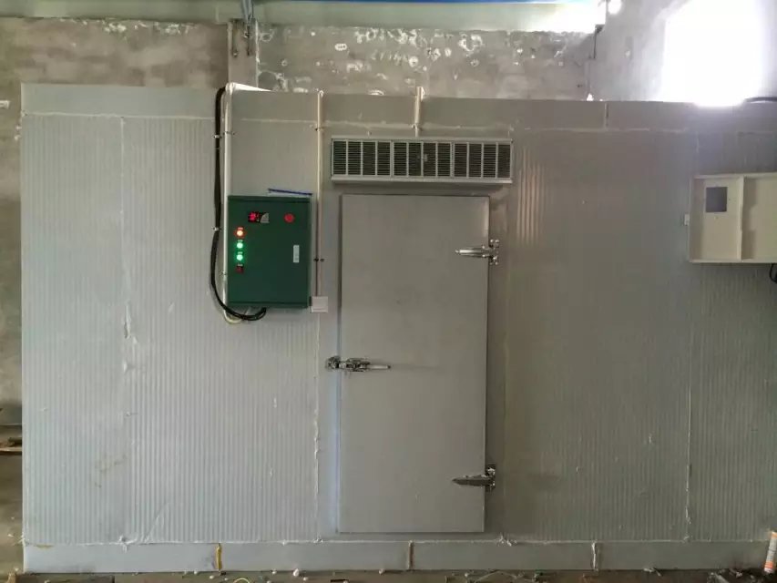 西安荣耀体育在线登录