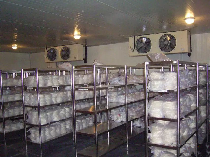 西安荣耀体育在线登录